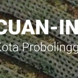 CUAN IN